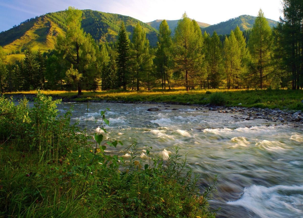 Mountain River, puu, puu, luonto, maisema, vesi