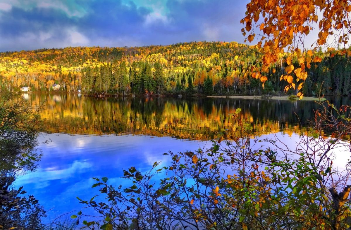 paisagem, céu azul, natureza, lago, folha, água, madeira, árvore, floresta