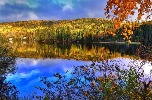 风景, 蓝天, 自然, 湖, 叶子, 水, 木头, 树, 森林