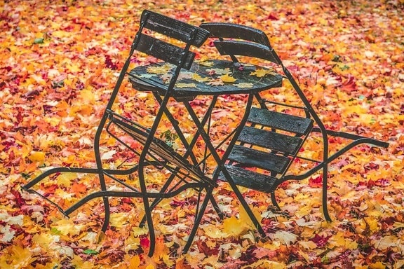 muebles, otoño, cadena, viejo, al aire libre, objeto, hojas amarillas