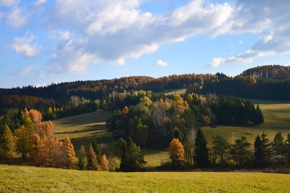 Image Libre Paysage Champ Campagne Ciel Bleu Nature Agriculture été