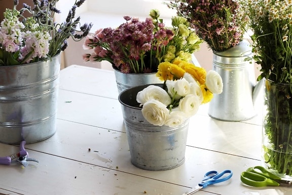 Květináč, květina, zátiší, dekorace, váza, rostlina, ruční nářadí, stůl, inerior