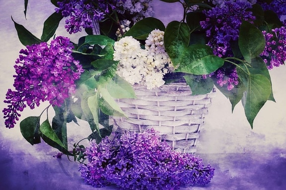 fotomontaggio, decorazione, lillà, giardino, cestino di vimini, estate, petalo, fiore