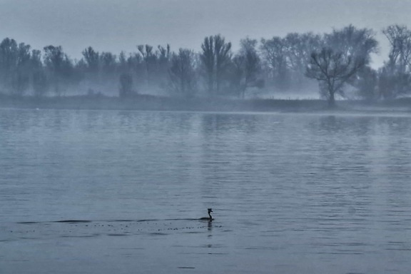 霧、水、川、風景、反射、霧、湖、湖畔
