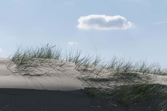 sand dune, landscape, beach, ocean, sky, nature, water