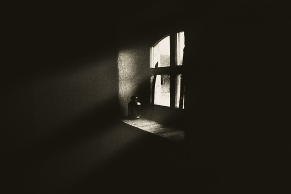 ombre, fenêtre, obscurité, monochrome, fenêtre, maison, antiquité