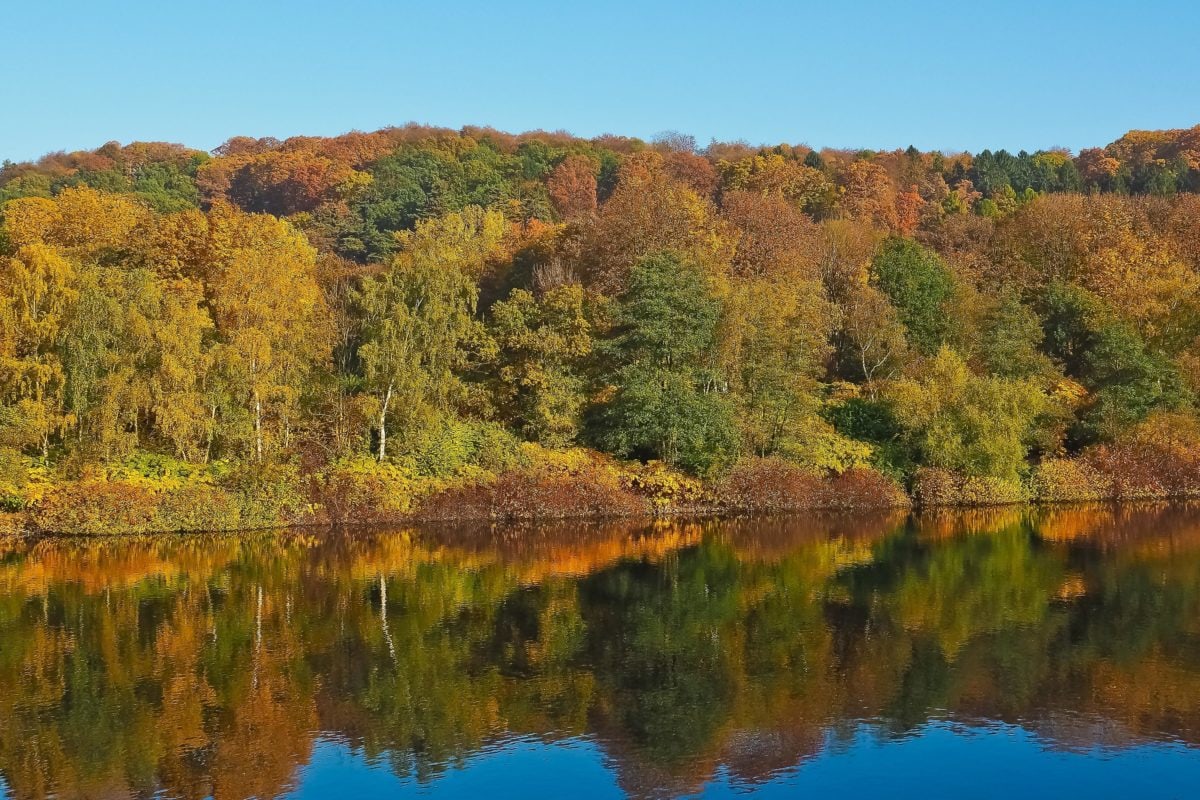 Jezioro, drewno, natura, krajobraz, drzewo, woda, odbicie, Błękitne niebo, refleksja, jesień