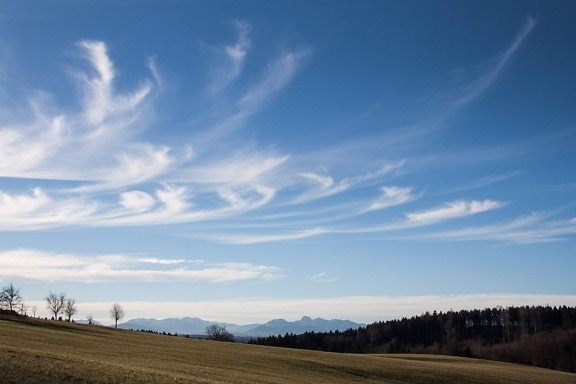 Image Libre Paysage Champ Campagne Ciel Bleu Nature Agriculture été