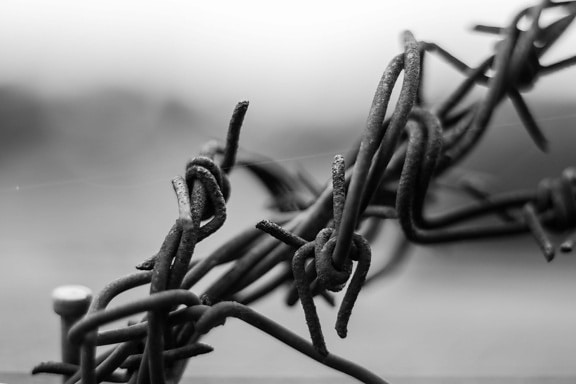 barbed wire, monochrome, iron, cast iron, object, knot