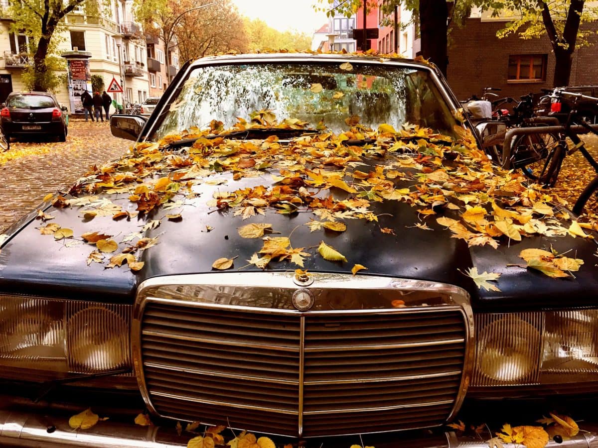 mobil tua, kendaraan, Jerman, Mobil, transportasi, Mobil, musim gugur, Kolam