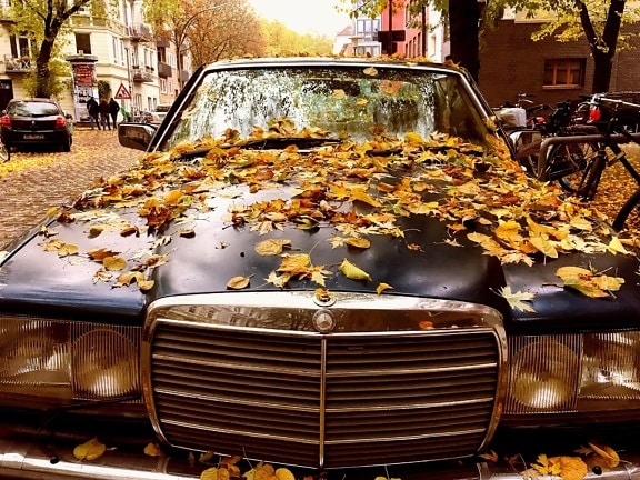 오래 된 자동차, 차량, 독일, 자동차, 교통, 자동차,가을, 야외