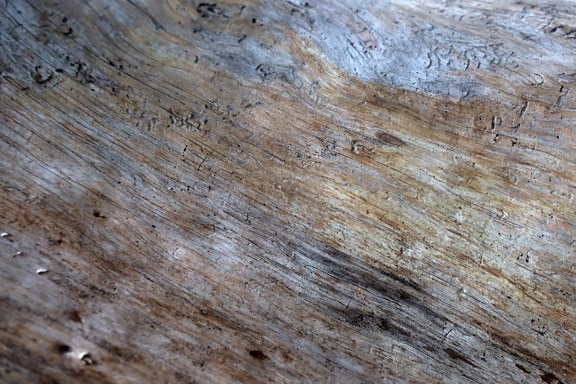 scoarta de copac, model, maro, vechi, textura, material