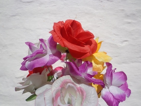 цветок, природа, композиция, Лепесток, розовый, букет роз, растение, цветы