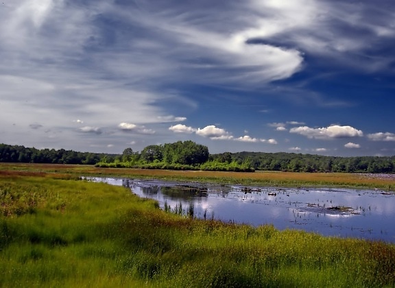 sky, lake, water, nature, landscape, atmosphere, swamp, forest