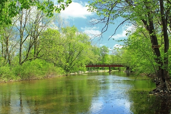 水和木的图片风景图片图片