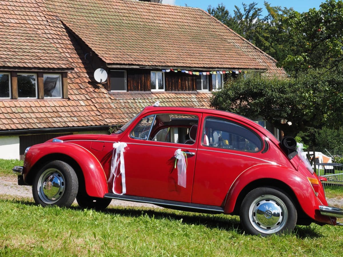 Volkswagen beetle, wedding car, vehicle, old, transportation, nostalgia, automobile, tire, drive