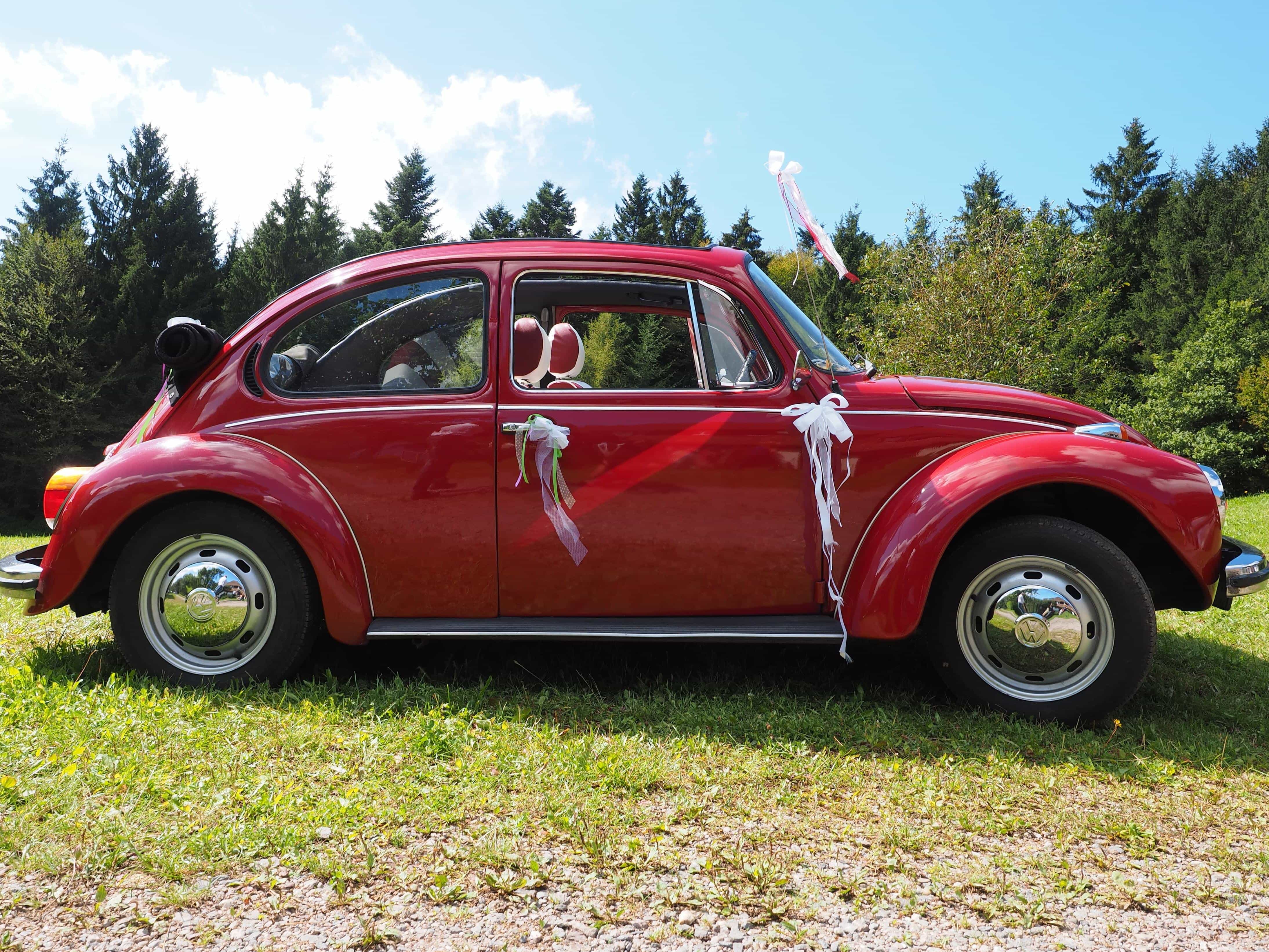 picture: beetle, beautiful photo, wedding car, old car, vehicle, wheel, automobile, transportation