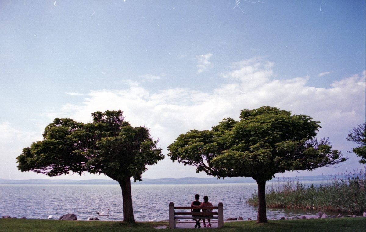 tree, water, landscape, bench, outdoor, blue sky, horizon, cloud