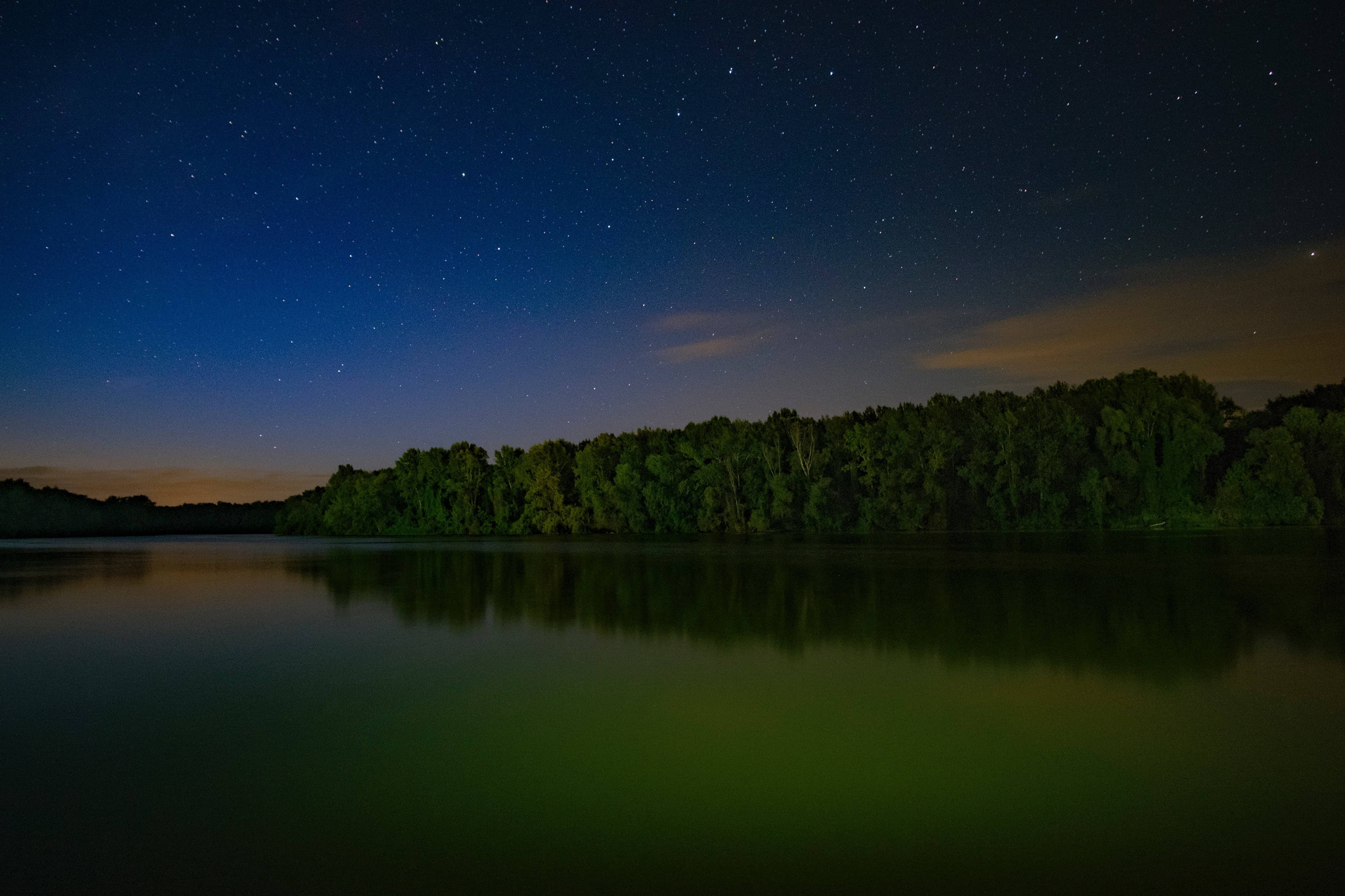 Ночное небо в лесу с озером