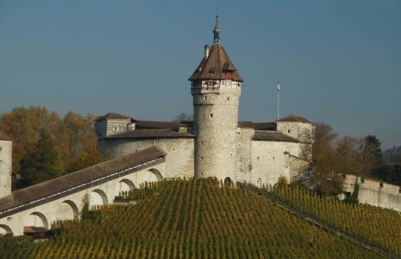 tornet, fästning, arkitektur, slott, molnet, gamla, dagsljus, vingård