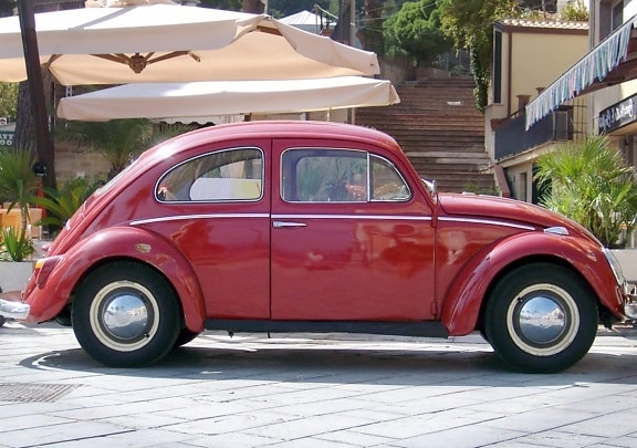 Volkswagen beetle, red, vehicle, car, wheel, drive, auto, automobile, transportation
