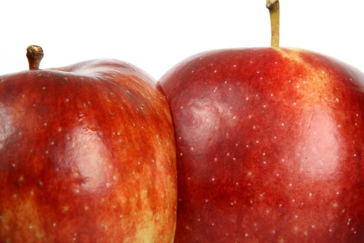 Rød æble, frugt, mad, ernæring, lækker, kost, sød, vitamin