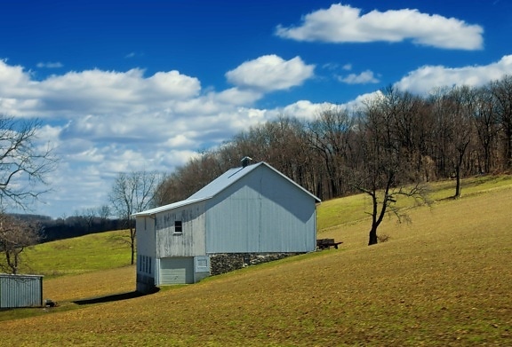blue sky, barn, grass, landscape, structure, outdoor, tree, field
