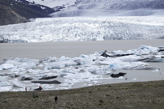 Ledeni brijeg, ledenjak, pješačenje, ljudi, Grenland, krajolik, snijeg, voda, led, planina, hladna
