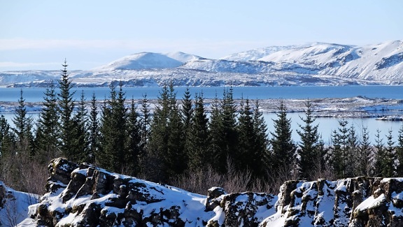 Berggipfel, kalter Winter, Panorama, Holz, Eis, Schnee, Landschaft, Wald