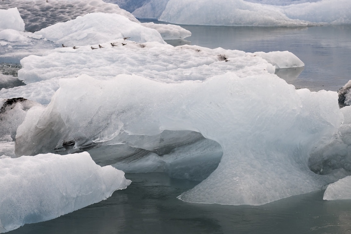 Free Picture Cold Water Glacier Winter Snow Ice Frozen Iceberg