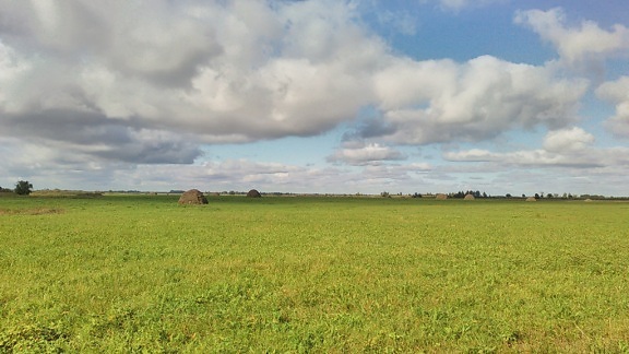 paisaje, campo, agricultura, campo, hierba, cielo azul, al aire libre, naturaleza, Prado