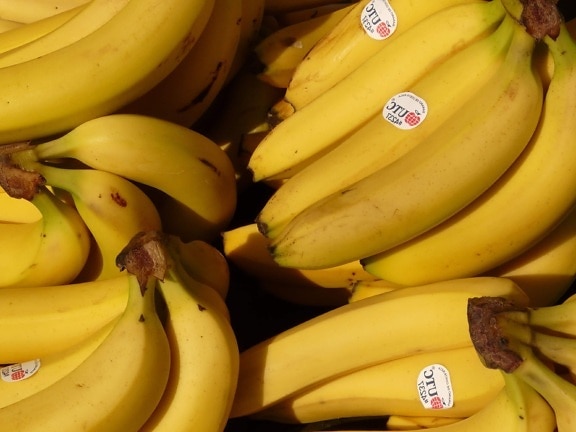 banan, kalium, vitamin, frukt, marked, ernæring, mat, vitamin, organisk