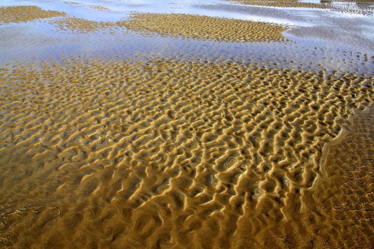 fala, piasek, morze, woda, plaża, Koral, tekstury, na zewnątrz