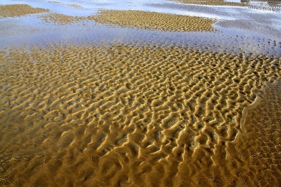 vague, sable, rivage, eau, plage, corail, texture, extérieur