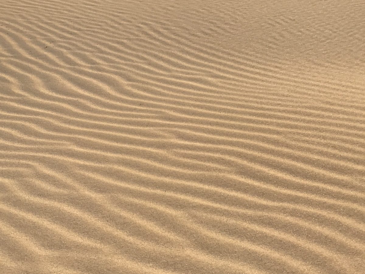 textura, Wasteland, Duna de areia, onda, praia, deserto, areia