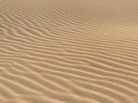 纹理, 荒地, 沙丘, 波浪, 海滩, 沙漠, 沙子