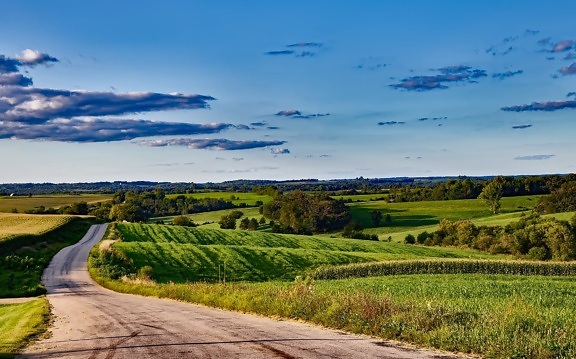 Road, rumput, alam, pertanian, langit biru, jalan, lanskap, bidang, pedesaan