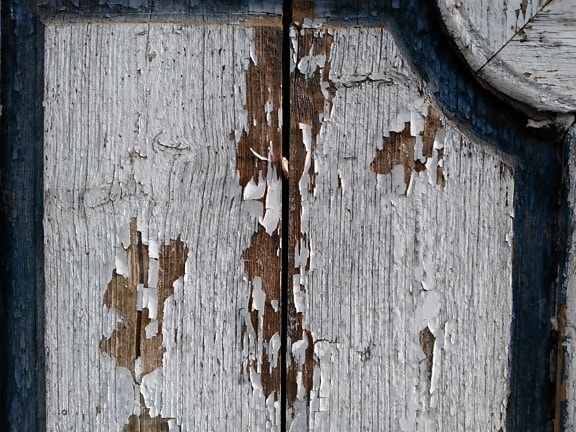 porta, parede, textura, de madeira, velho, material, superfície, madeira
