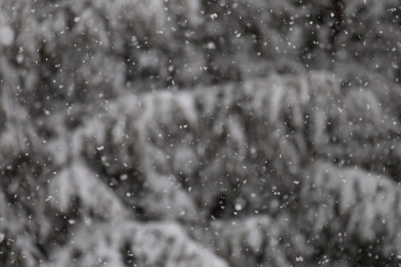 바람, 겨울, 비, 눈, 텍스처, 이 슬, 디자인, 감기