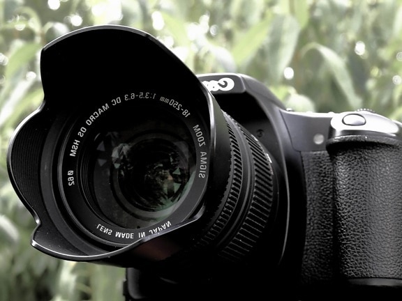 Paparazzi, Fotografie, Objektiv, Kamera, Zoom, Fokus, Öffnung, Ausrüstung