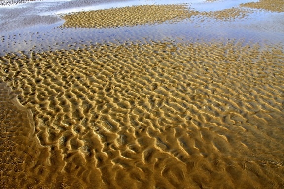 beira-mar, praia, areia, sobremesa, onda, água, Costa, oceano