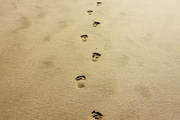 sentier, empreinte de pas, empreintes, marchepied, sable, nature sauvage, plage, bord de mer