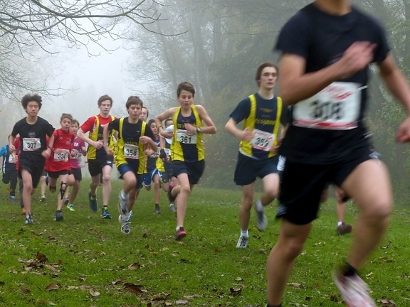 nevoeiro, nebuloso, grama verde, maratona, râguebi, concorrência, atleta, bola