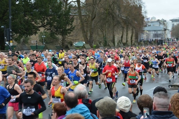 folkmassan, Marathon, stadsområde, konkurrens, löpare, lopp, fot ras, personer