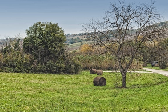 Image Libre Paysage Champ Campagne Ciel Bleu Nature Agriculture été