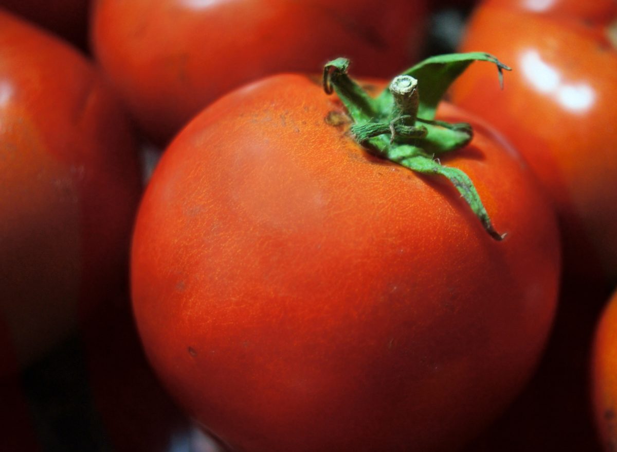 sebze, domates, salata, Organik, Gıda, diyet, beslenme, Bahçe