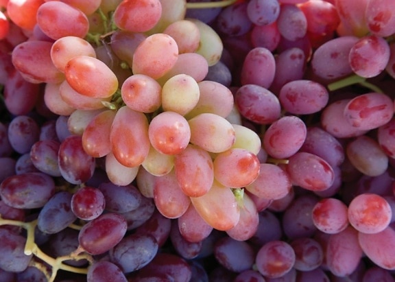 葡萄, 葡萄, 水果, 餐饮, 葡萄, 市场, 浆果, 营养