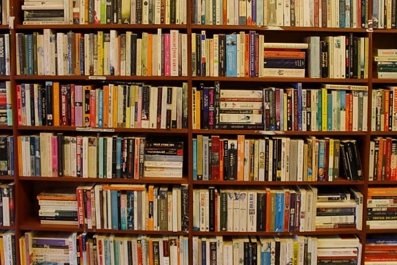 bookshelf, bookshelves, bookstore, shelf, furniture, library, book, bookcase