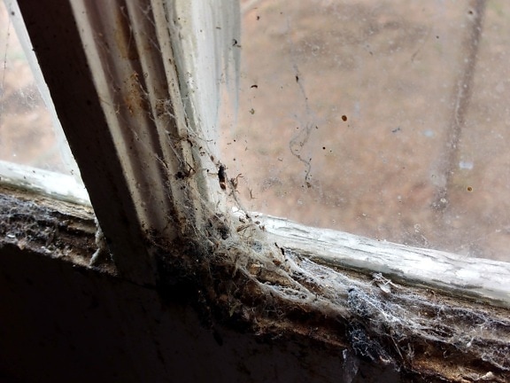 murdărie, murdare, sticlă, fereastra, lemn, textura, vechi, perete