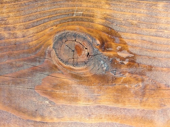 carpintería, madera dura, nudo de, patrón de, textura, Resumen, registro, piso